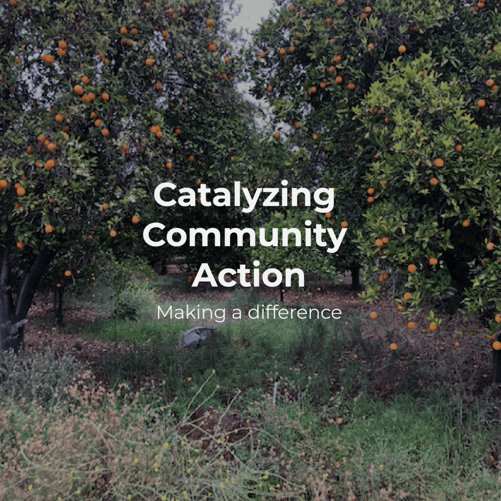 catalyzing community action