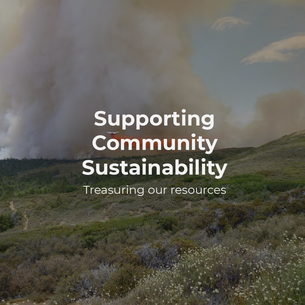 supporting community sustainability